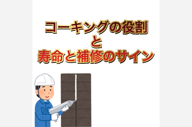ブログ5-1